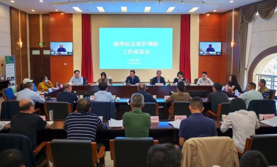 1683211825244581989.jpg 640 (2).jpg