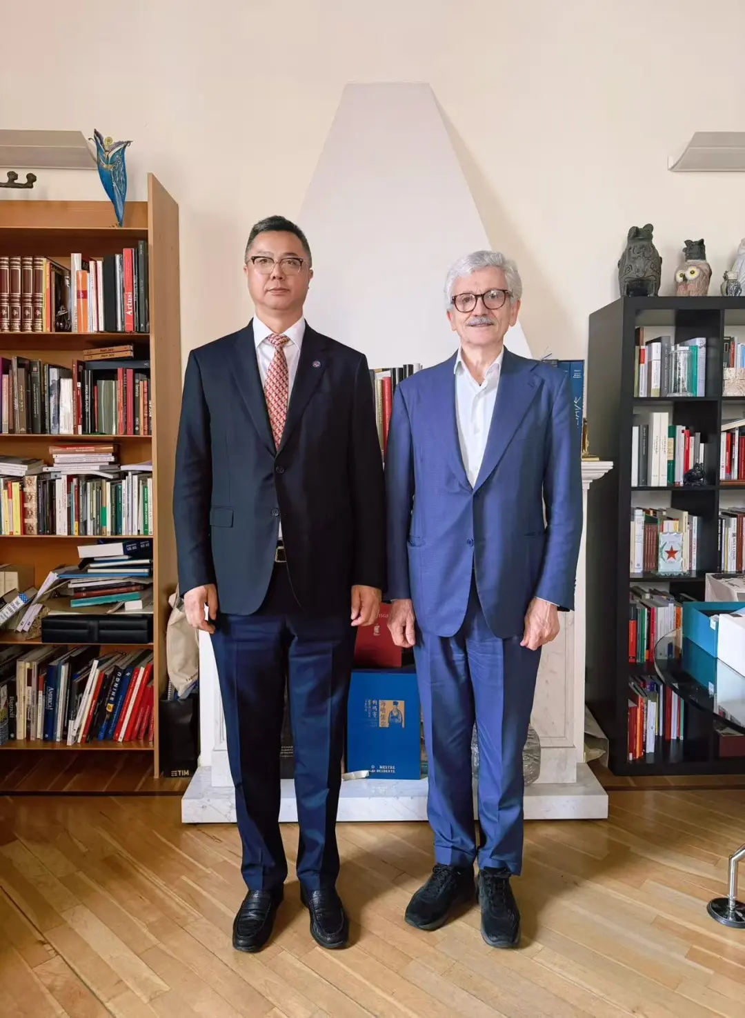潘锋与欧中经济合作与发展理事会联席主席、意大利前总理马西莫·达莱马工作座谈 